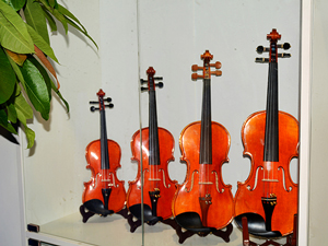 �ߵ��ֹ�С����