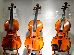 �ߵ��ֹ�С����