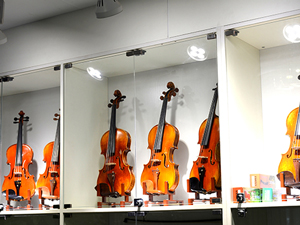 �ߵ��ֹ�С����